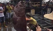 渔民觉醒最新爆料贴吧,揭秘海洋生态危机背后的惊人真相！